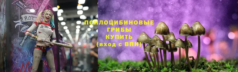 Псилоцибиновые грибы MAGIC MUSHROOMS  Лебедянь 